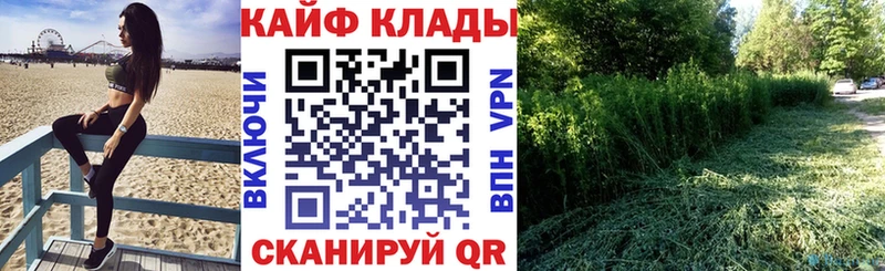 Где продают наркотики Жирновск Псилоцибиновые грибы  Кокаин  СОЛЬ  ГАШ  МАРИХУАНА  АМФЕТАМИН 