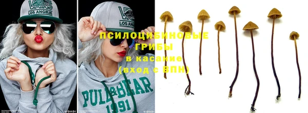 дмт Алексеевка