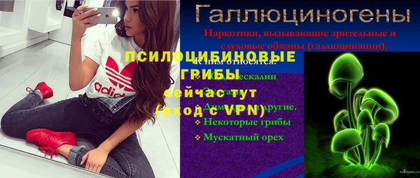 кокс Алексин