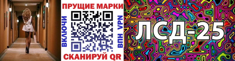 darknet Telegram  Жирновск  Наркотические марки 1,5мг 