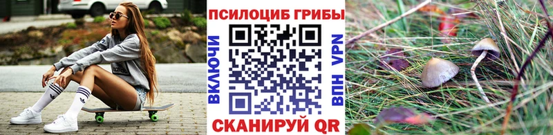 Псилоцибиновые грибы мухоморы  как найти наркотики  Жирновск 
